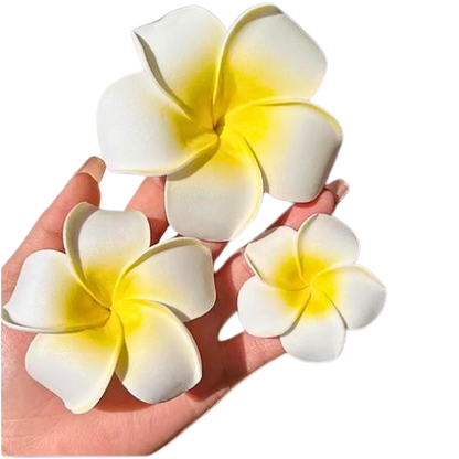 3 Clips de Cheveux Floraux