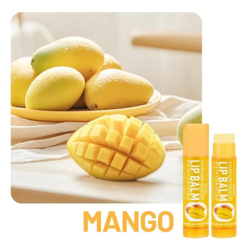 Lip Balm Hydratant aux Fruits