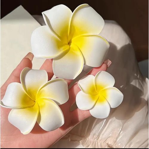 3 Clips de Cheveux Floraux