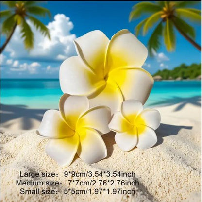 3 Clips de Cheveux Floraux